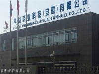 華益藥業(yè)科技（安徽）有限公司